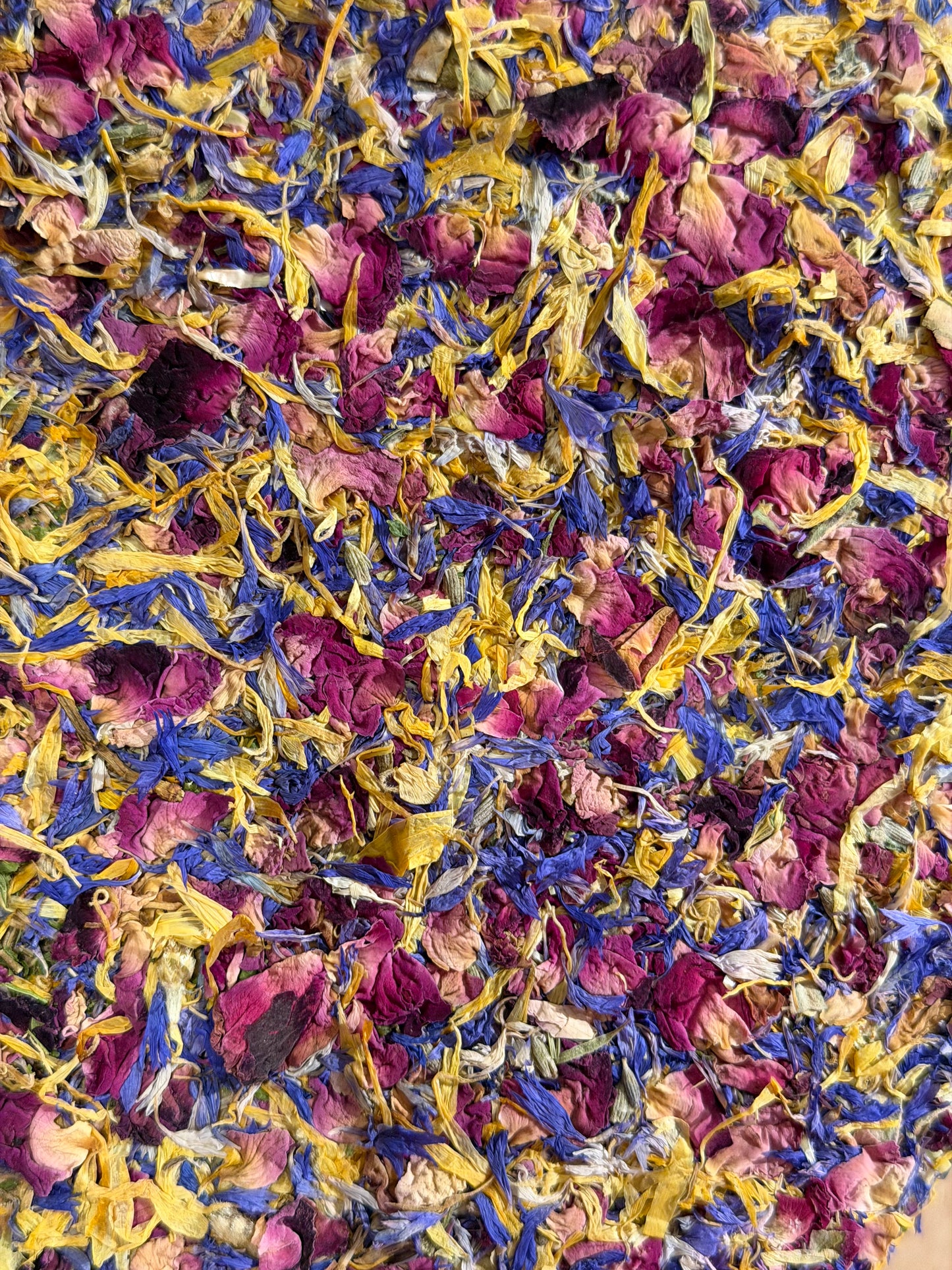 Alp Blossom