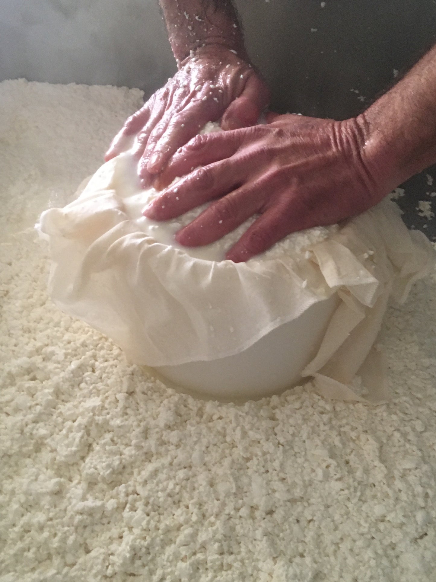 Queso Manchego DOP Tomasillo 3/4 meses
