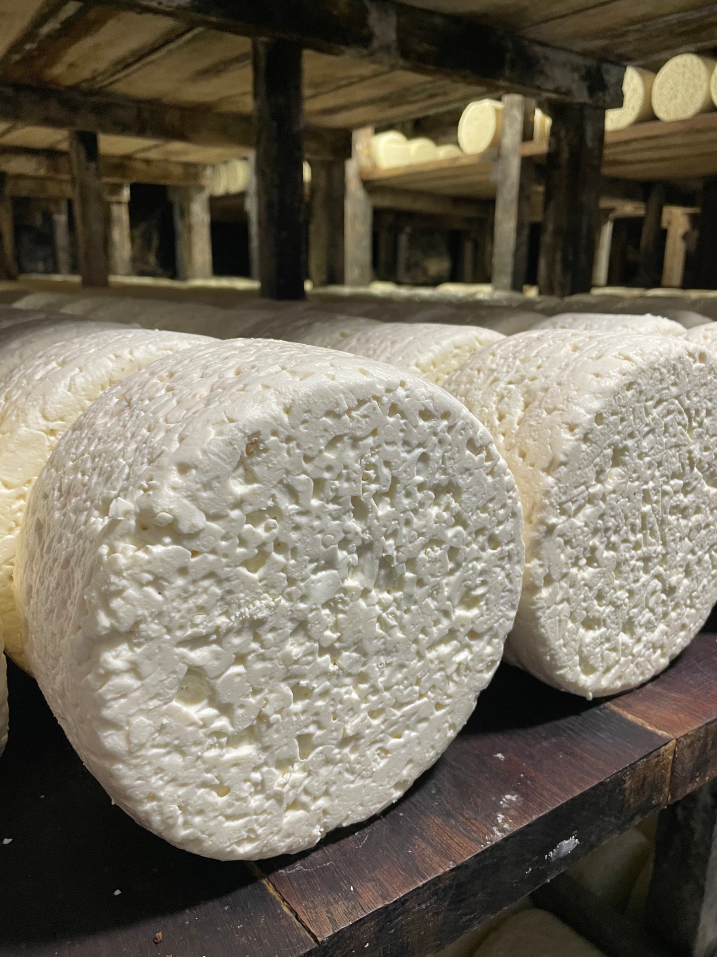 Roquefort Carles DOP